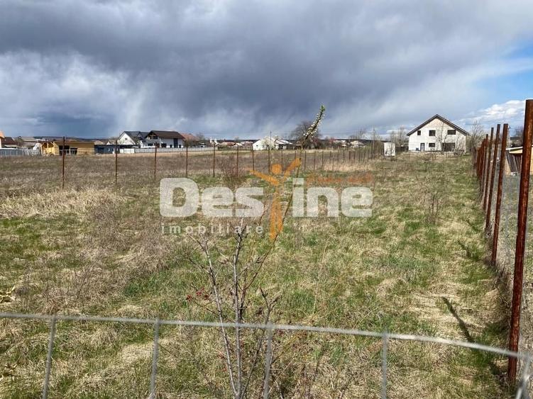 Teren Construcții intravilan de 900 mp, în Dumbrava Roșie