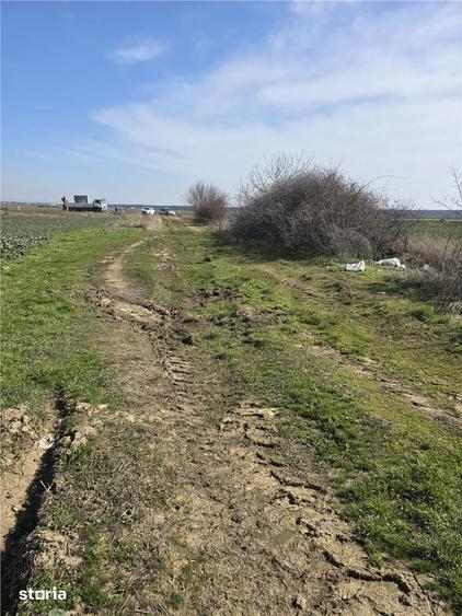 Teren de 22418 mp, în Calea Aradului