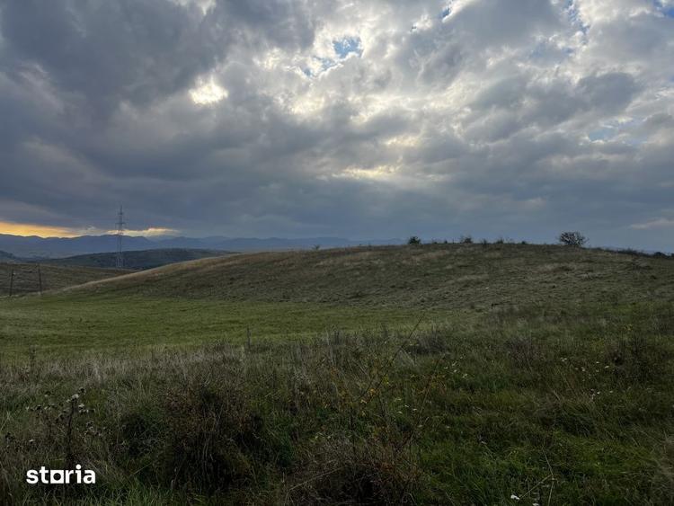 Teren de 5000 mp, în Ciurila
