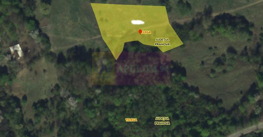 Teren agricol extravilan de 4404 mp, în Telega