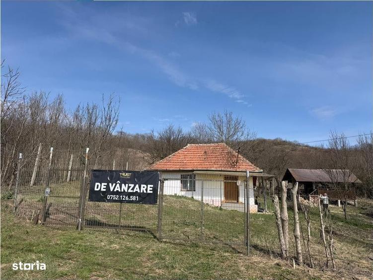 Spațiu comercial, în Corpadea