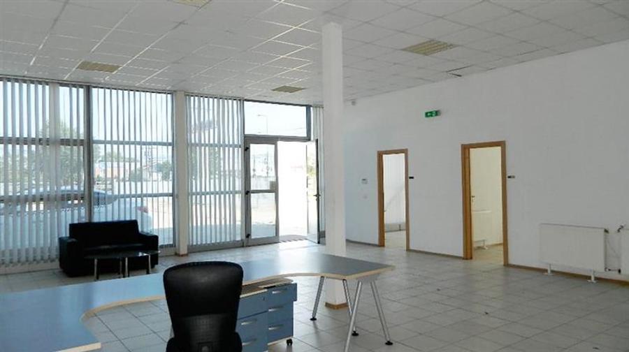 Spațiu industrial, de 1,760 mp, în Lugojului