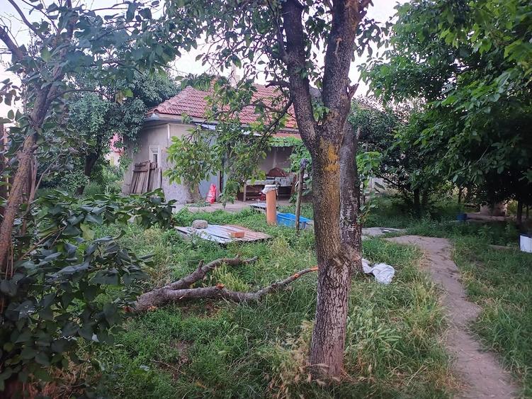Casă cu 3 camere cu Teren 2500 Mp în Central