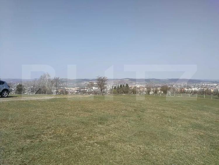 Teren Construcții intravilan de 15904 mp, în Dâmbu Pietros