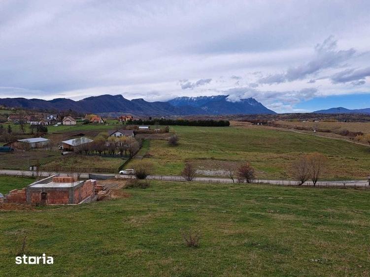 Teten intravilan Bran - Sohodol - 6