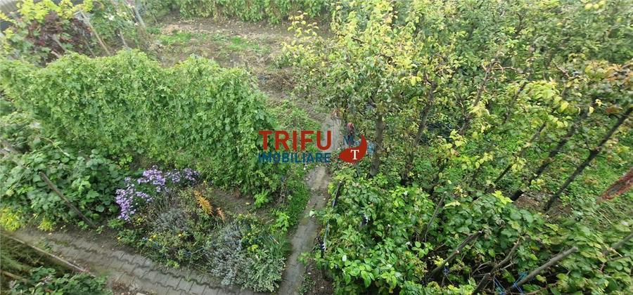 Teren Construcții intravilan de 500 mp, în Ampoi 1