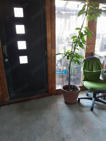 Casă cu 7 camere cu Teren 1420 Mp în Dumbrava