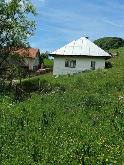 Teren de 3800 mp, în Fundata