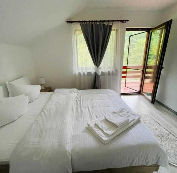 Vand sau schimb casa Campu Cetatii din caramida si lemn - 4