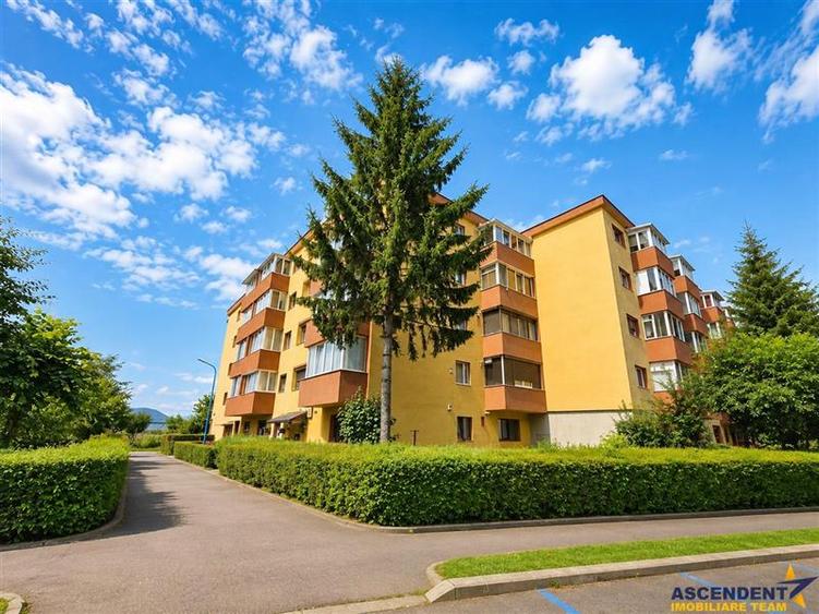 Apartament cu 2 camere decomandat în Triaj