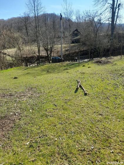 Teren de 2650 mp, în Malurile