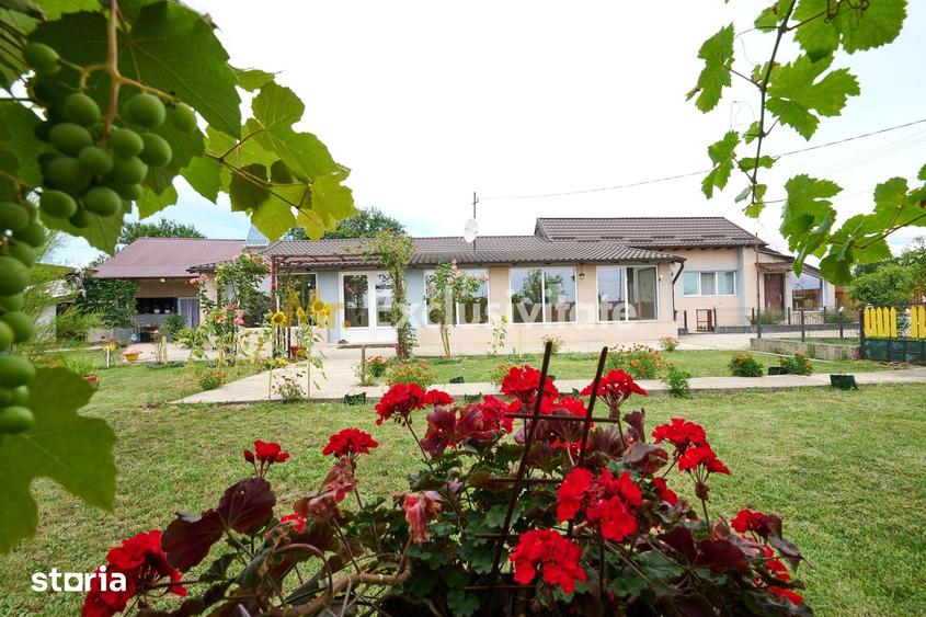 Casă cu 3 camere cu Teren 2881 Mp în Vedea