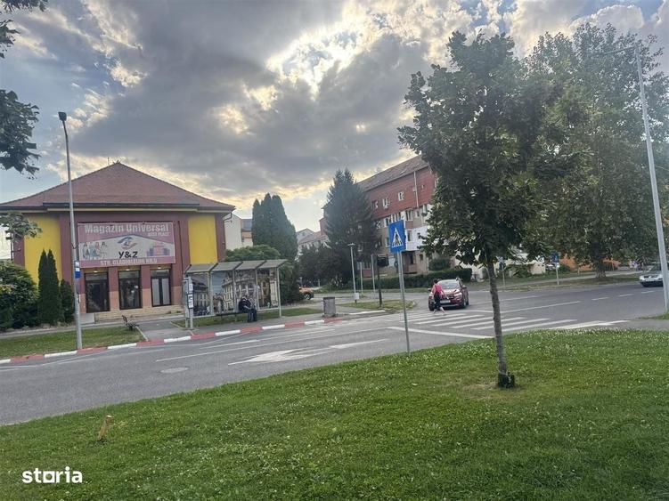 Apartament cu 2 camere în Terezian