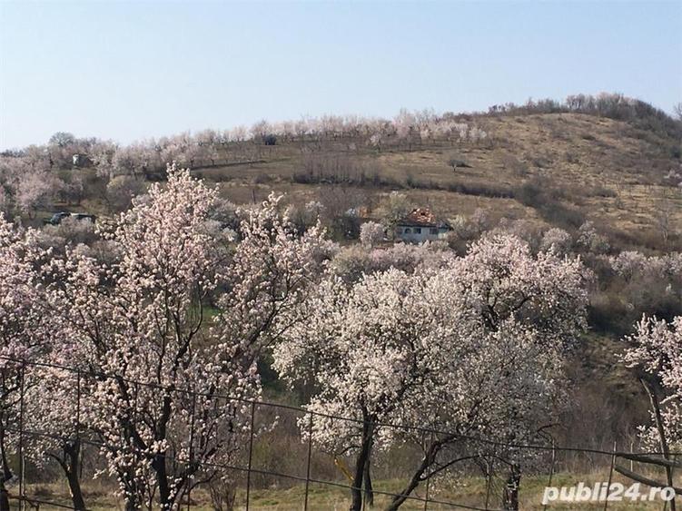 Teren în Central