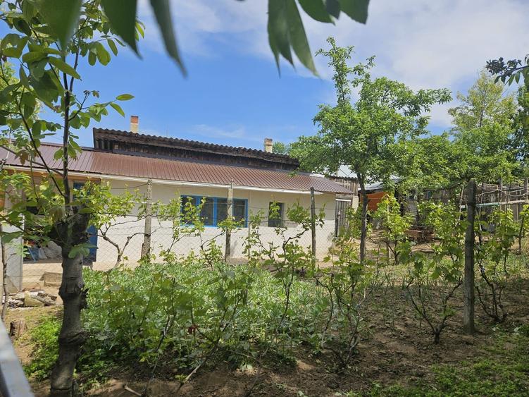 Casă cu 2 camere cu Teren 2000 Mp în Brădești