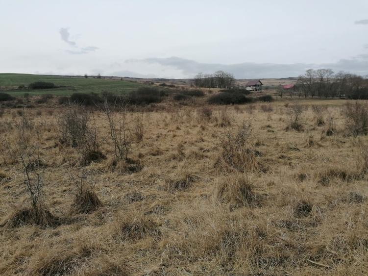 Teren agricol extravilan de 12600 mp, în Chinteni