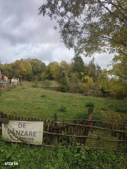 Teren de 1688 mp, în Vișinești
