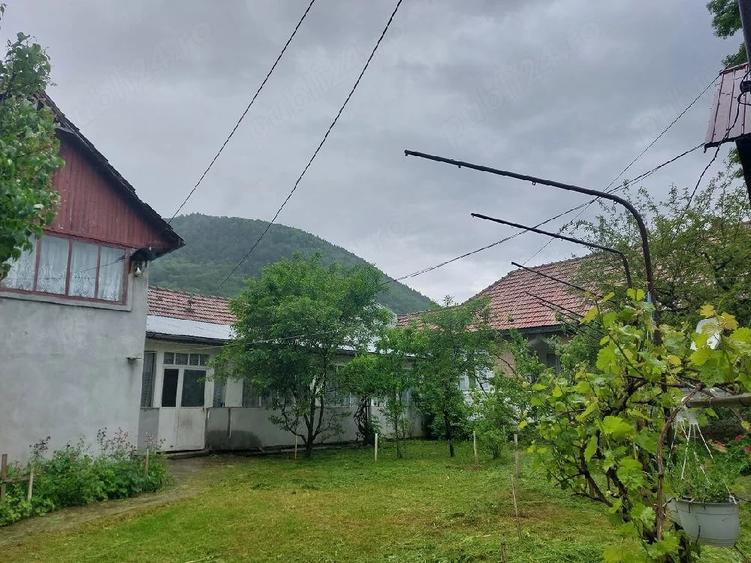 Casă cu Teren 1000 Mp în Lepșa