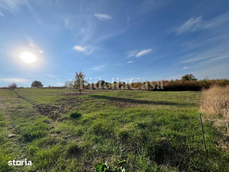 Teren de 1240 mp, în Tomești