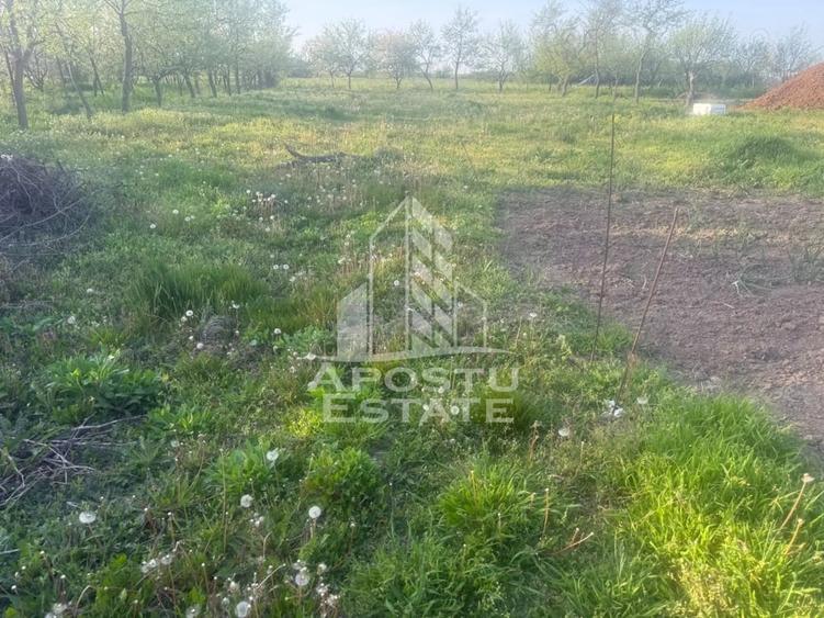 Casă cu Teren 1439 Mp în Ianova
