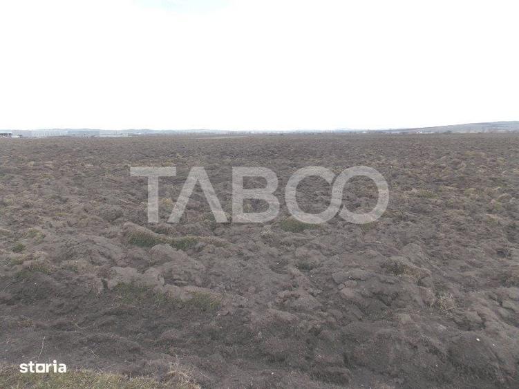 Teren intravilan de vanzare 10.000 mp in zona Industriala Vest Sibiu - 2