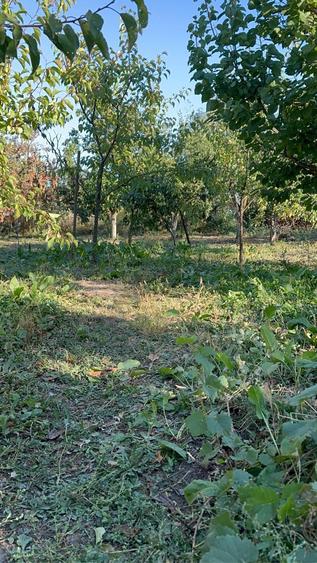 Casă cu Teren 2000 Mp în Răcari