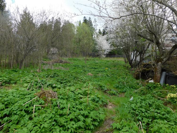 Teren Construcții intravilan de 1000 mp, în Central