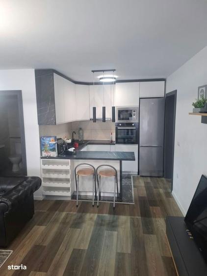 Apartament cu 2 camere, mobilat în Sub Arini