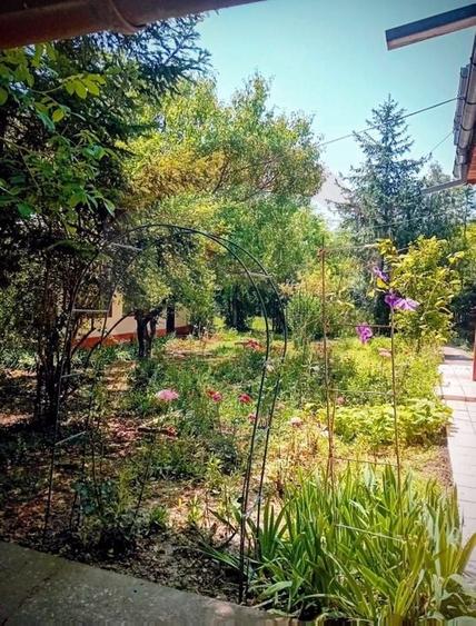 Casă individuală cu 5 camere cu Teren 1129 Mp în Cunești