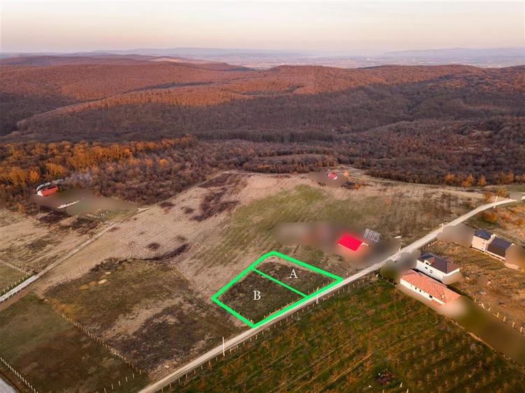 Teren intravilan de 805 mp, în Podgoria
