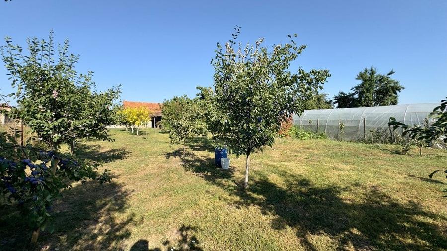 Casă cu 3 camere cu Teren 800 Mp în Central
