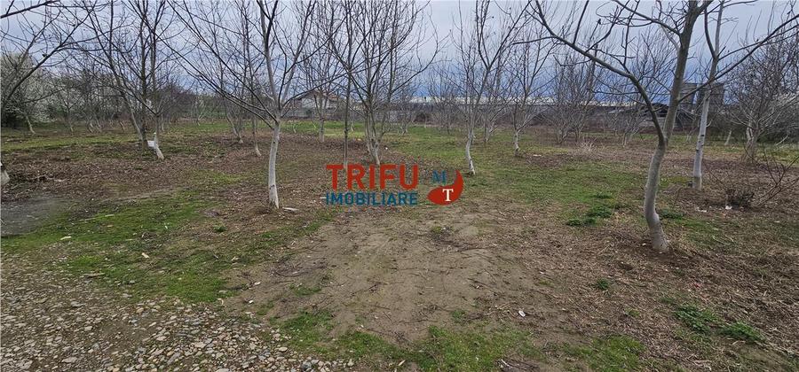 Teren Construcții intravilan de 5500 mp, în Ampoi 1