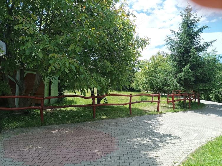 Casă cu 4 camere cu Teren 4000 Mp în Brădești