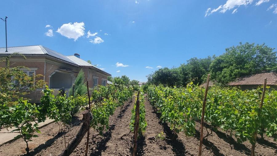 Casa de vanzare Chirnogi - (Oltenita) - 12
