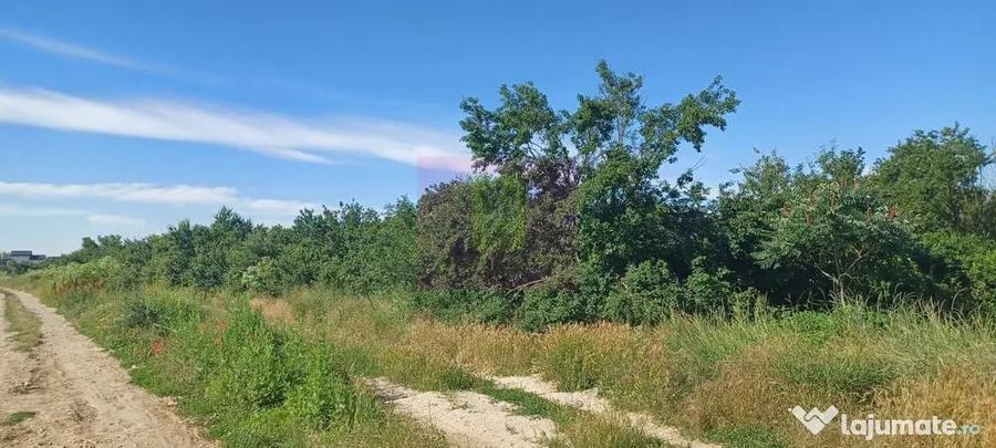 Teren în Săbăreni