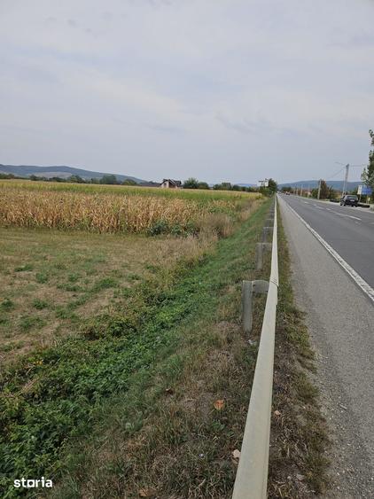Teren de 2900 mp, în Central