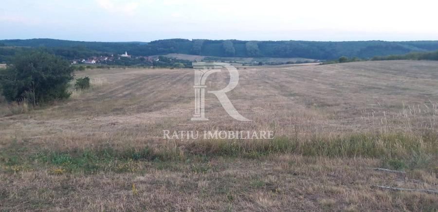 Teren agricol extravilan de 9664 mp, în Betfia