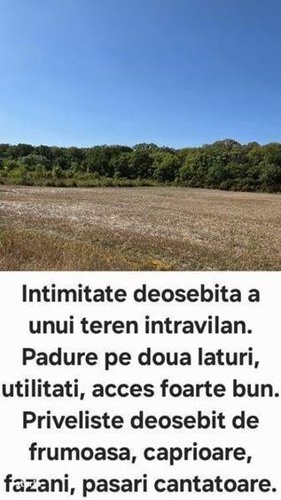 Teren de 1704 mp, în Râfov