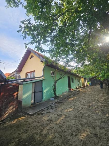 Casă individuală cu 2 camere cu Canalizare în Daia Română