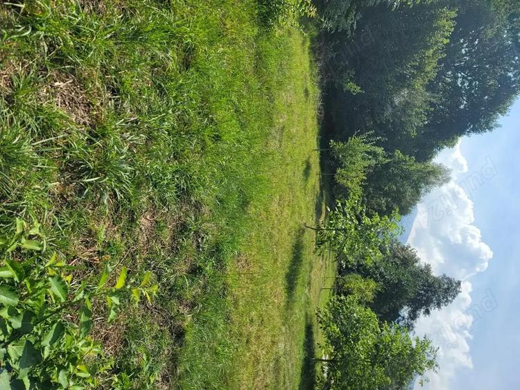 Teren în Stațiunea Climaterică Sâmbăta