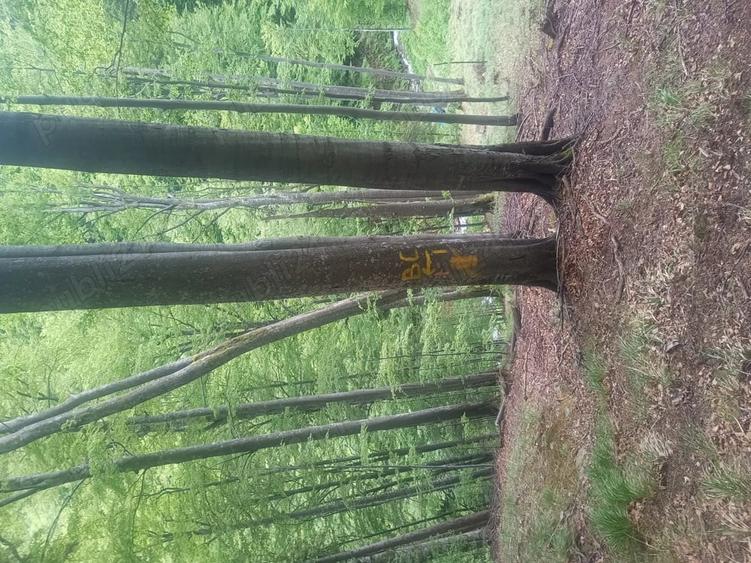 Teren de 120000 mp, în Motru Sec