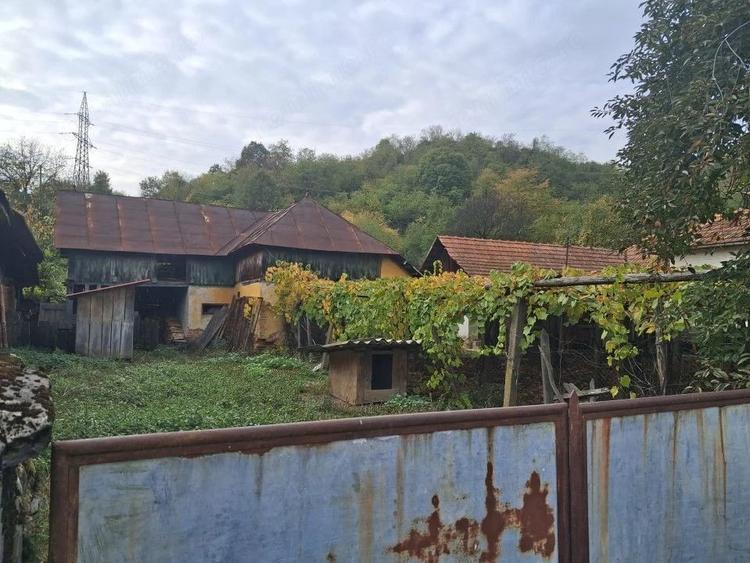 Casă cu 4 camere cu Teren 3116 Mp în Boroșteni