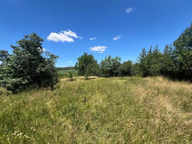 Teren Construcții intravilan de 17475 mp, în Tomești