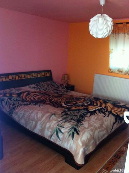Casa 90 mp cu pamant 2650 mp in jud HD Cainelu de sus - 9