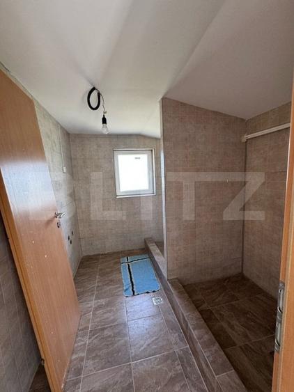 Casă individuală cu 6 camere cu Teren 8700 Mp în Mihai Viteazu