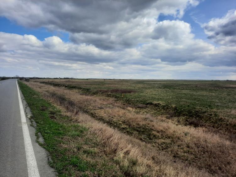 Teren agricol extravilan de 13000 mp, în Sânmihaiu Român