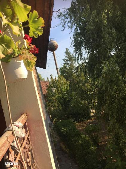 Teren de 49000 mp, în Iancu Jianu