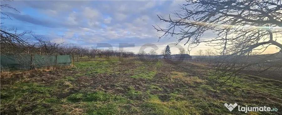 Teren de 2117 mp, în Cetariu