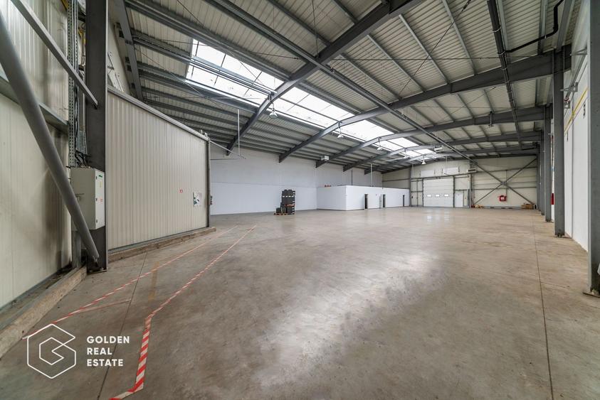 Spațiu industrial, de 704.71997070313 mp, în Aradul Nou