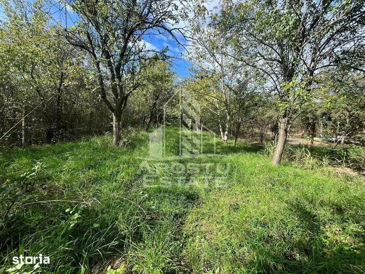 Casă cu 4 camere cu Teren 2863 Mp în Freidorf